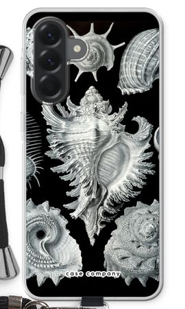 Haeckel Prosobranchia