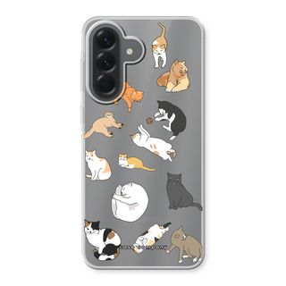 Gatos