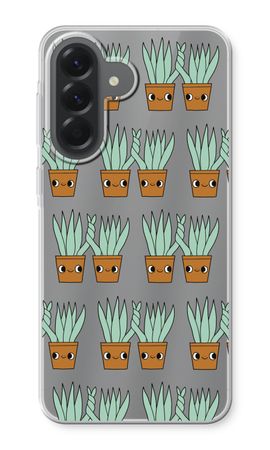 Sansevieria