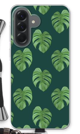 Monstera leaves