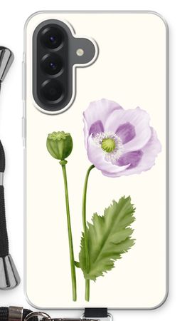 Purple poppy