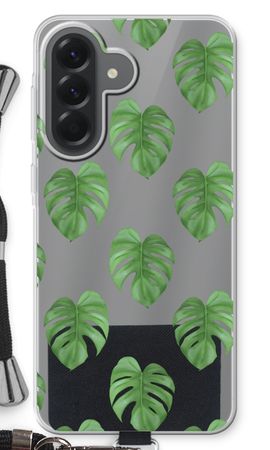Monstera leaves