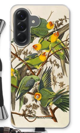 Carolina Parrot