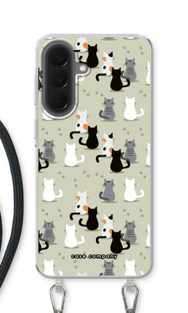 Cats