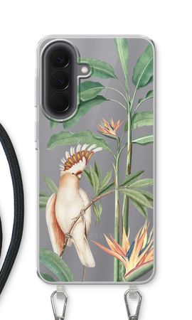 Tropical Parrot