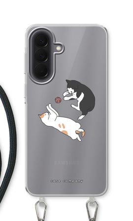 Playing cats