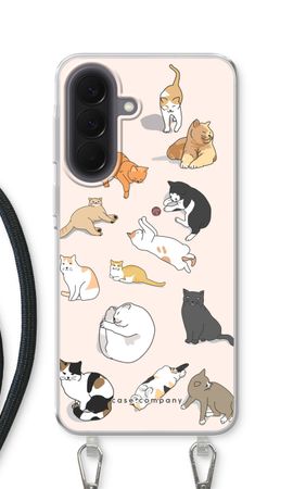Cats