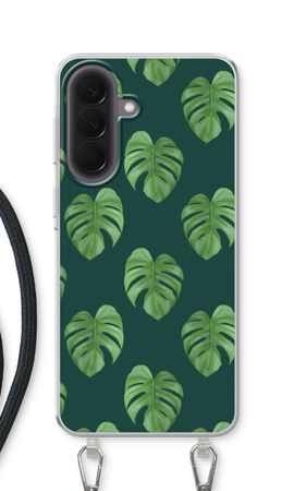 Monstera leaves