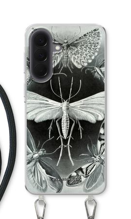 Haeckel Tineida