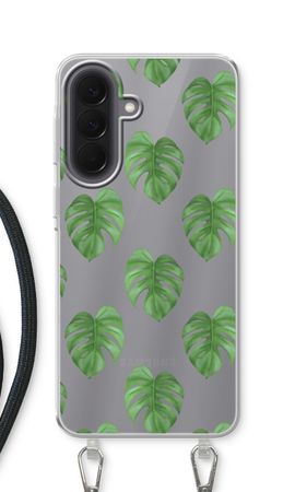 Monstera leaves