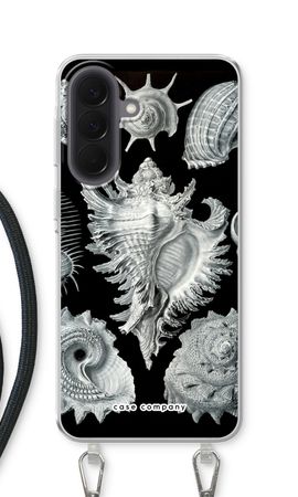 Haeckel Prosobranchia