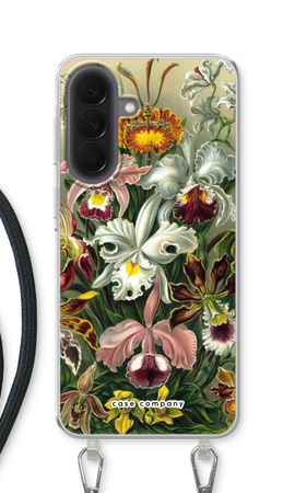Haeckel Orchidae