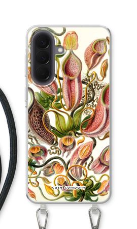 Haeckel Nepenthaceae