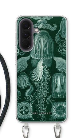 Haeckel Cubomedusae