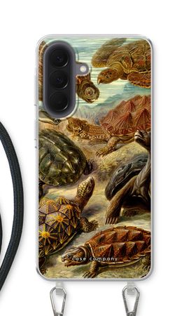 Haeckel Chelonia