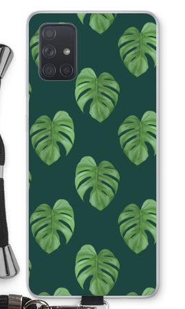 Monstera leaves