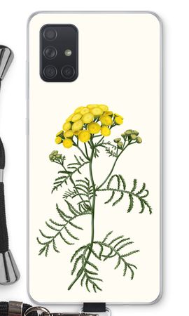 Tansy