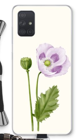 Purple poppy