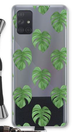 Monstera leaves