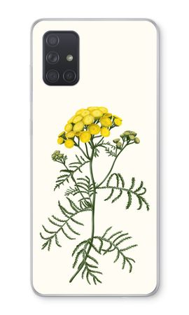 Tansy