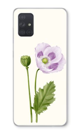 Purple poppy