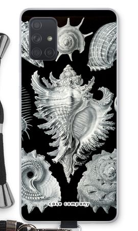 Haeckel Prosobranchia