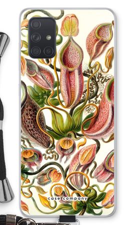 Haeckel Nepenthaceae