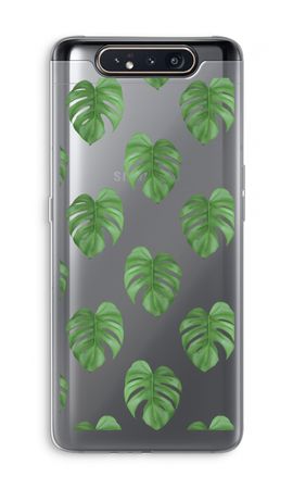 Monstera leaves