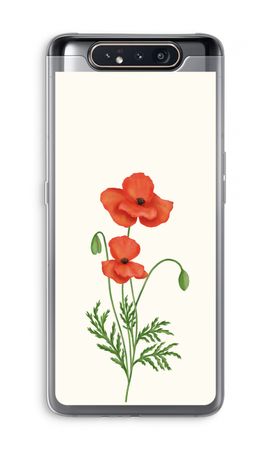 Red poppy