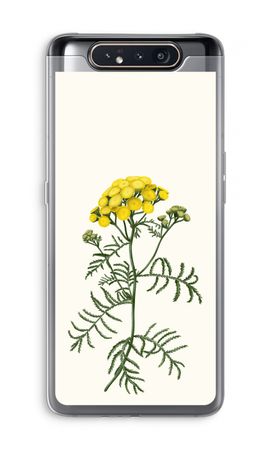 Tansy