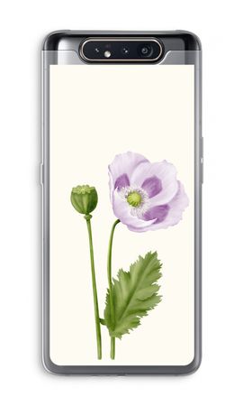 Purple poppy