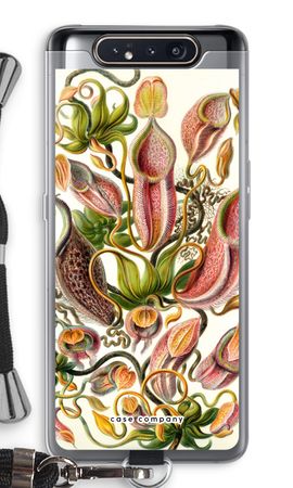 Haeckel Nepenthaceae