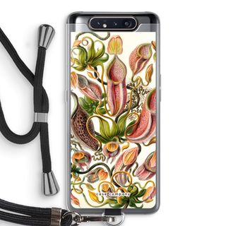 Haeckel Nepenthaceae