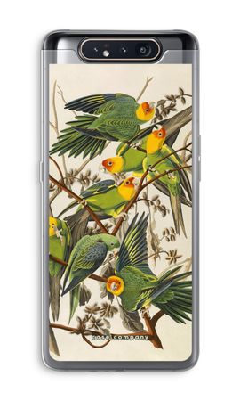 Carolina Parrot