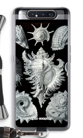 Haeckel Prosobranchia