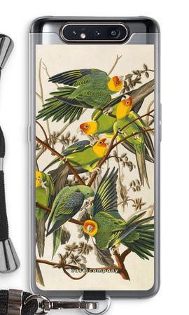 Carolina Parrot