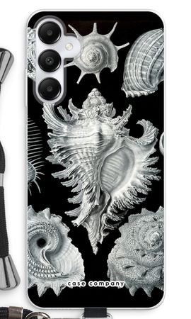 Haeckel Prosobranchia