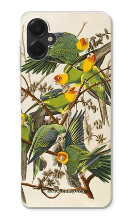 Carolina Parrot