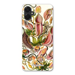 Haeckel Nepenthaceae