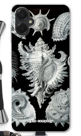 Haeckel Prosobranchia