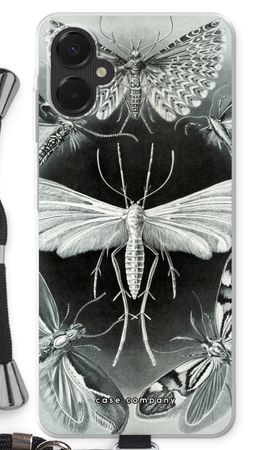 Haeckel Tineida