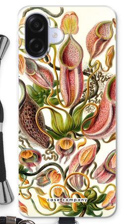 Haeckel Nepenthaceae