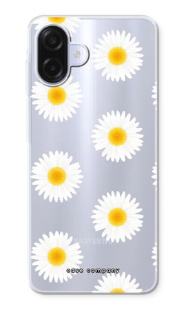 Daisies
