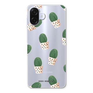 Cactus rosa