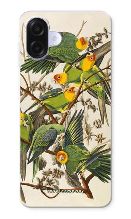 Carolina Parrot