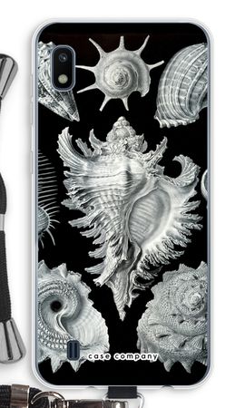 Haeckel Prosobranchia