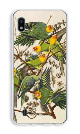 Carolina Parrot