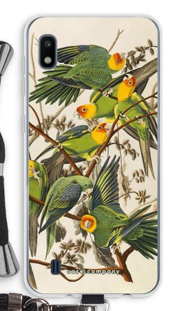 Carolina Parrot