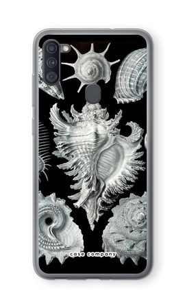 Haeckel Prosobranchia