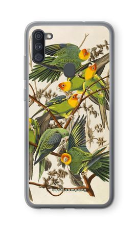 Carolina Parrot